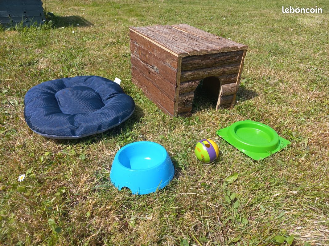 Lot maison et accessoires lapin- rongeur (image 2)