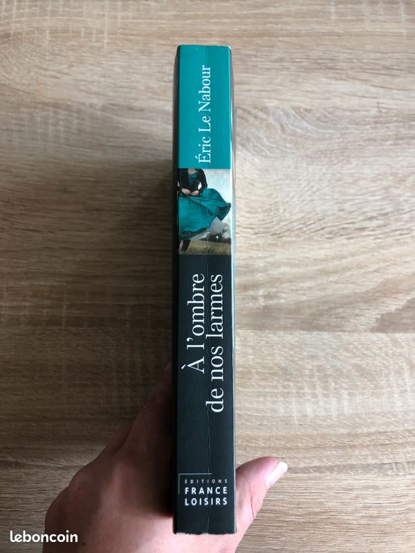 Livre A l'ombre de nos larmes d'Eric Le Nabour TBE (image 2)