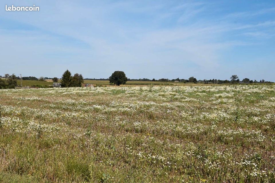 Terrain 1 200 m² Croix Mare · à Croix-Mare · 84 000 €