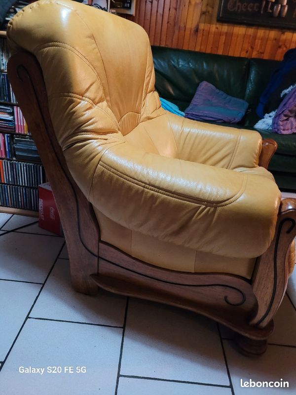 Fauteuil 1 place cuire (image 3)