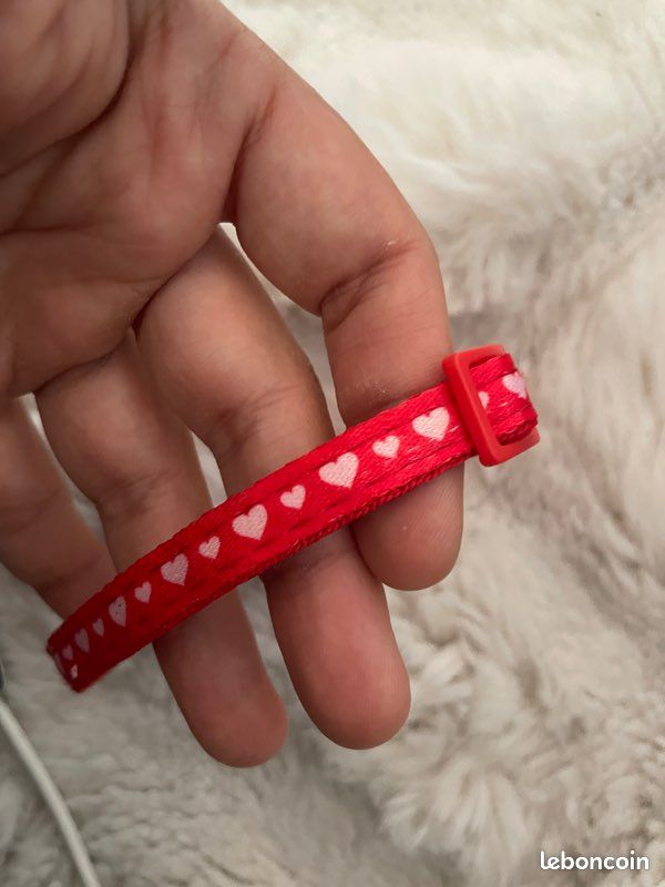Collier chat / petit chien (image 2)