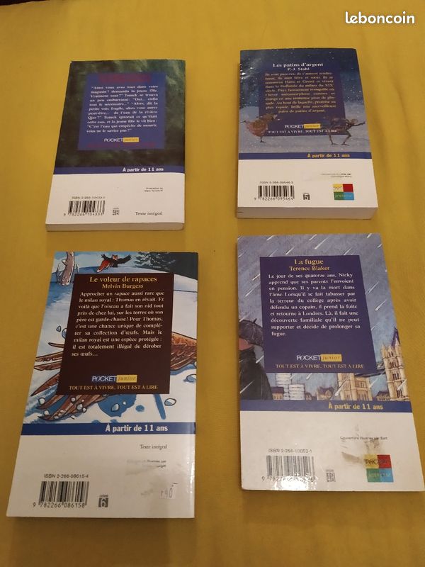 Livres pour adolescents (image 2)