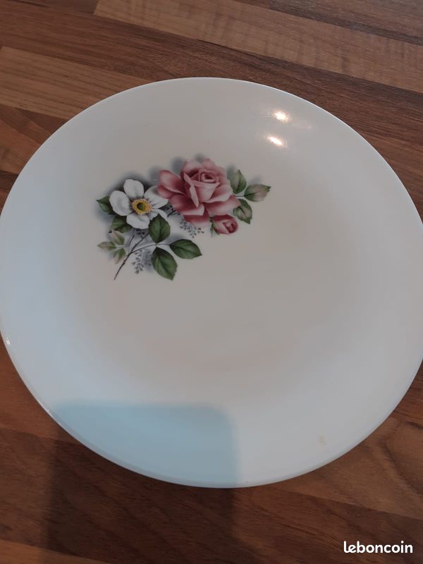 Lot de 5 assiettes plates Arcopal (image 1)