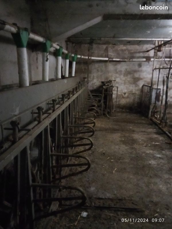 Vis souple salle de traite (image 2)