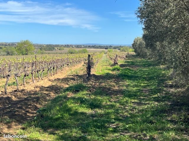 Terrain viabilisé 360 m2 a ginestas · 69 300 €