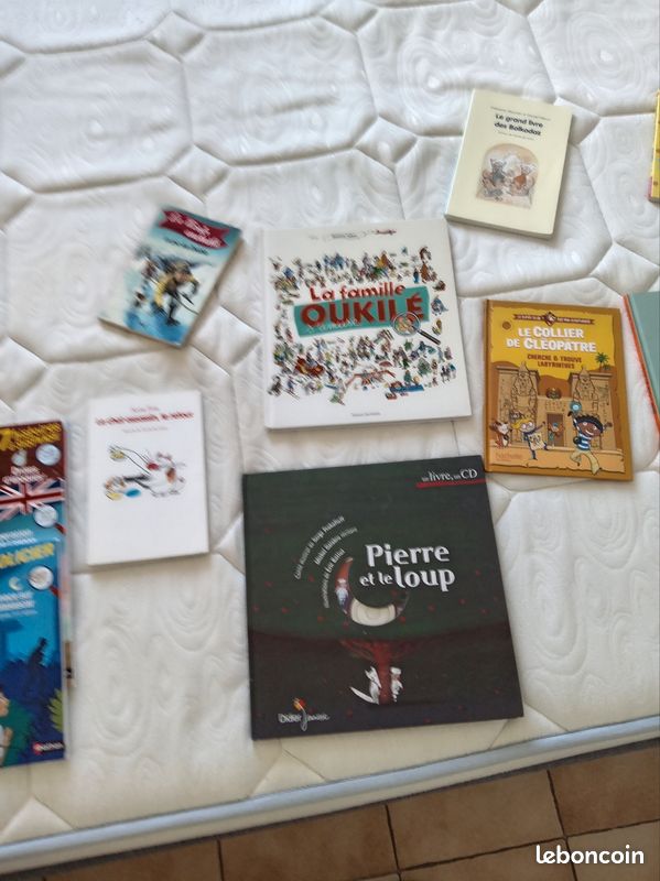 Livres jeunesse (image 2)
