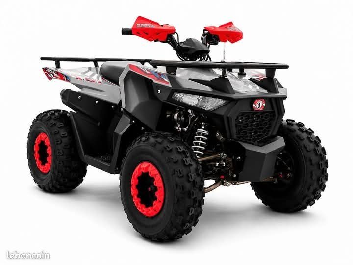 Quad 125 cc hammer 1 vitesses + marche arrière avec un châssis renforcé (image 5)