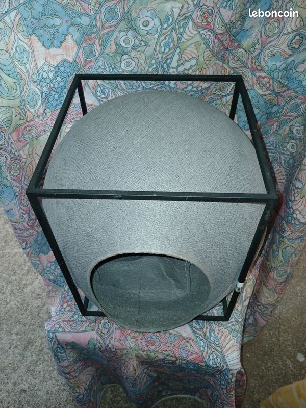 Abris chat (image 2)