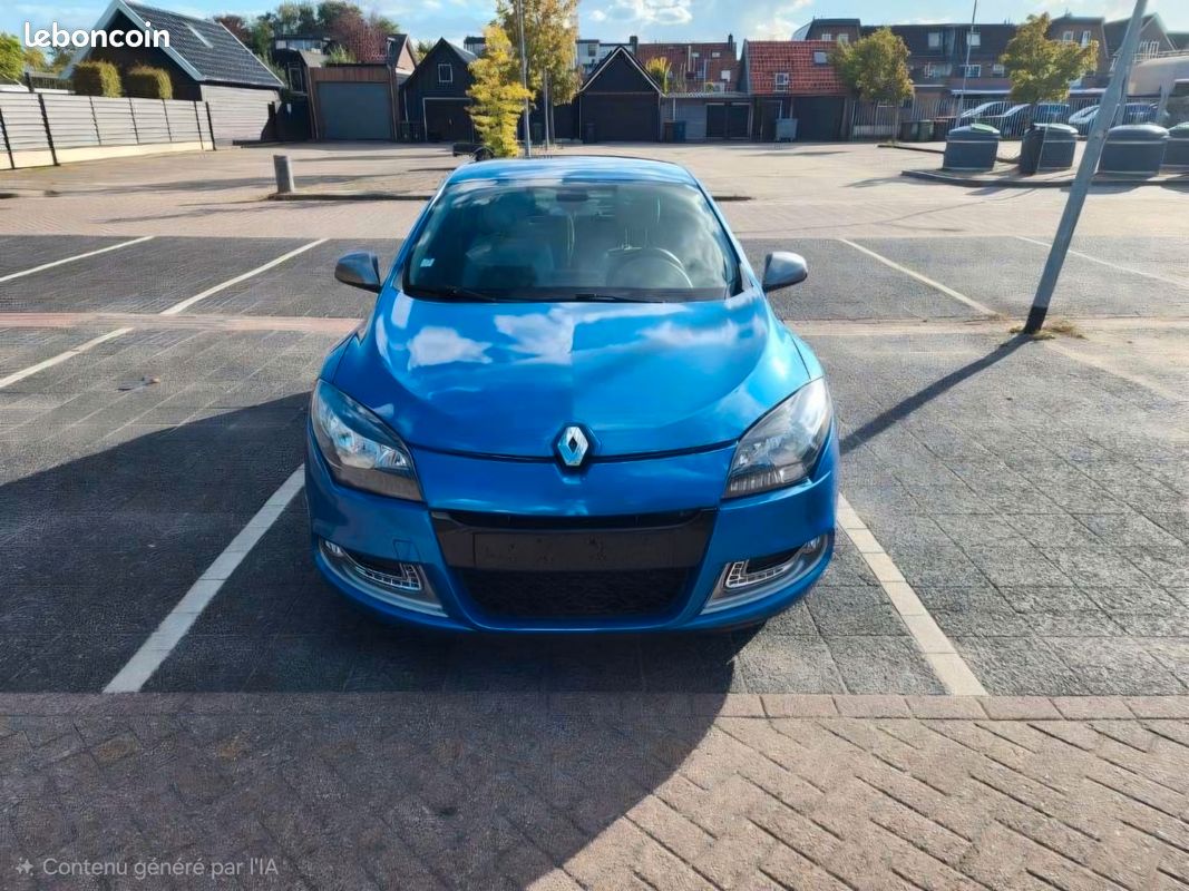 Megane 3 gt dci (image 1)