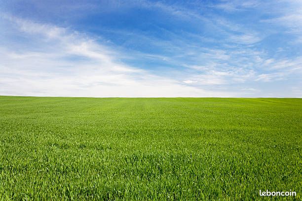 Terrain 389 m² · à Loctudy · 86 000 €