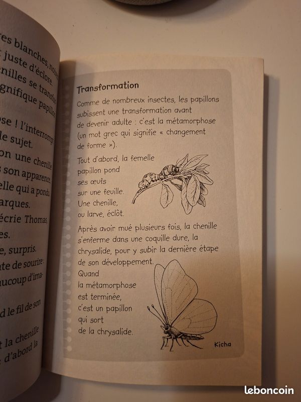 Livre Le bus magiques " La ferme aux papillons" (image 5)