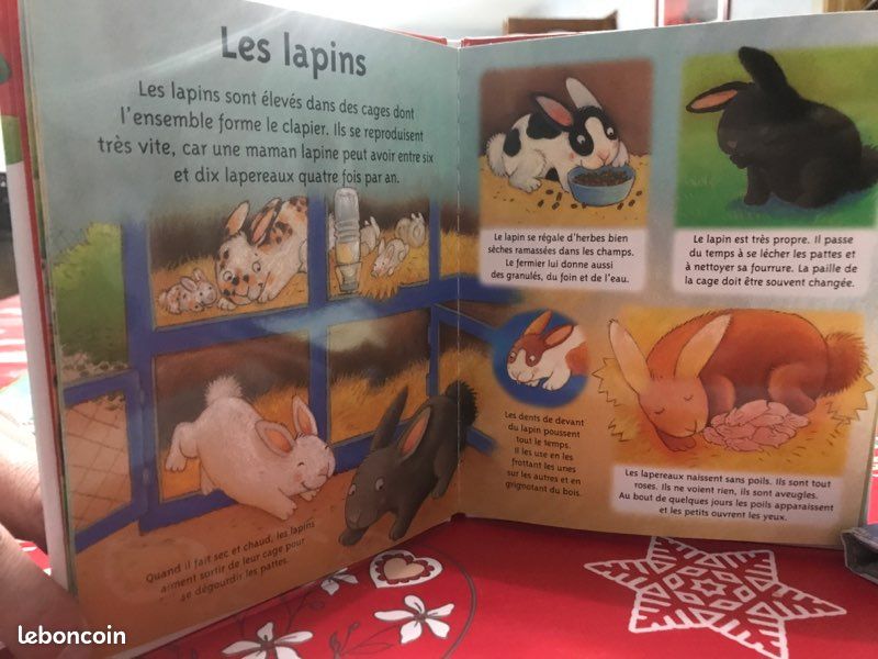 Livre sur les animaux de la ferme (image 2)