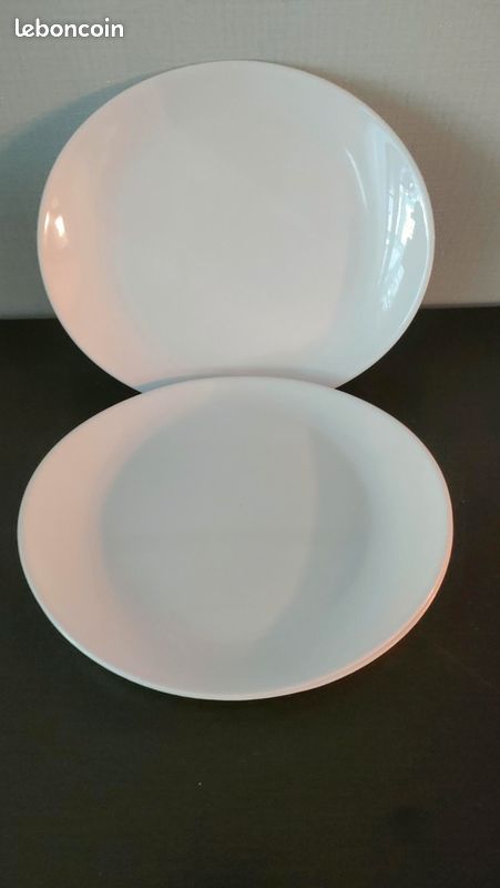 4 grandes assiettes à steack (image 2)