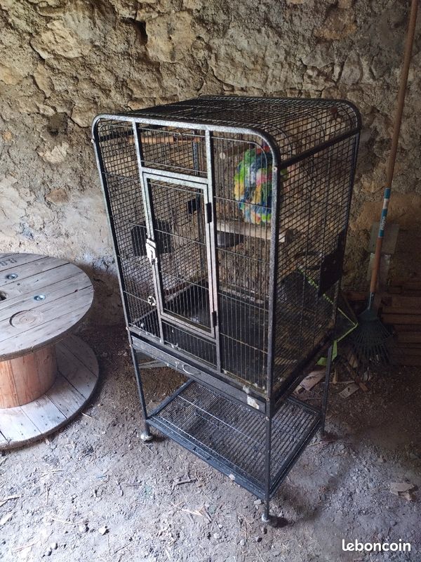Cage perroquet / grande perruche (image 1)