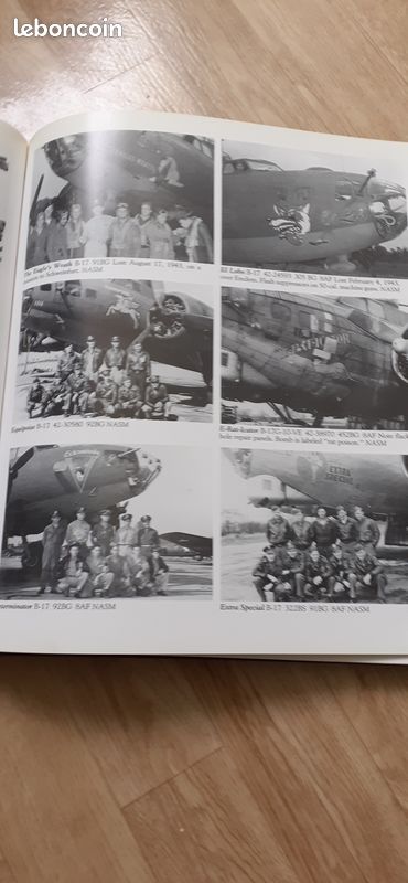 Livre usaaf ww2 nose art (image 5)
