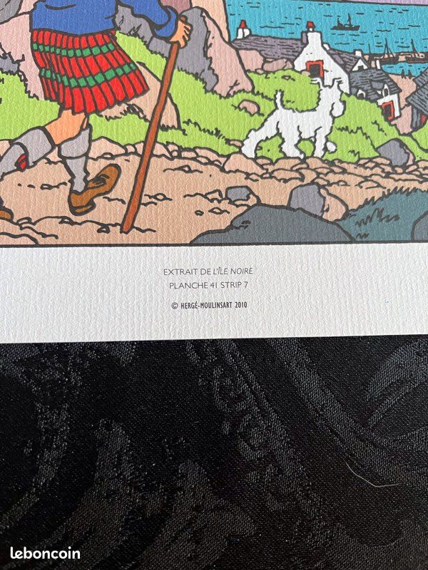 29 planches tintin collection (image 20)