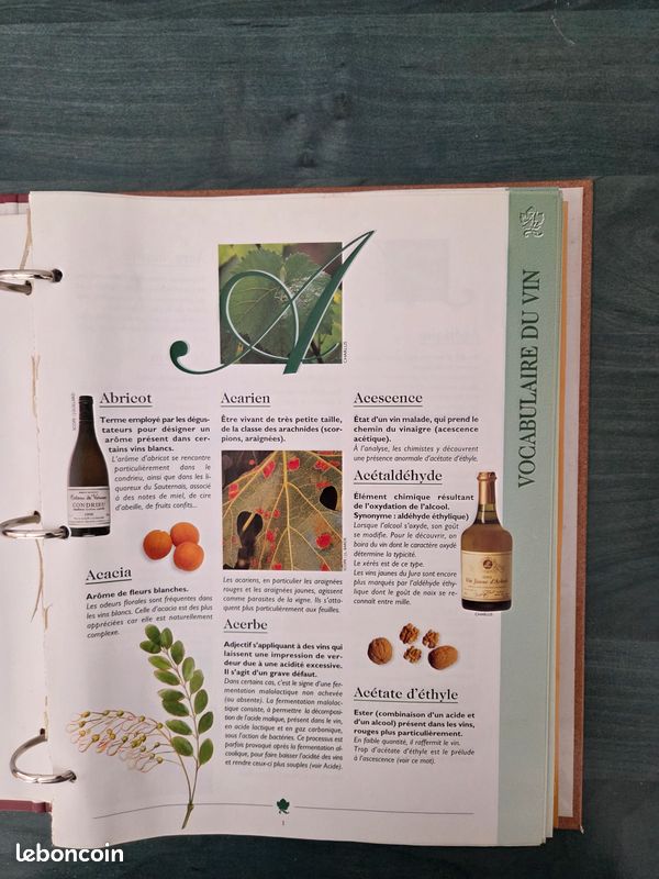 Connaître et choisir le vin (image 17)