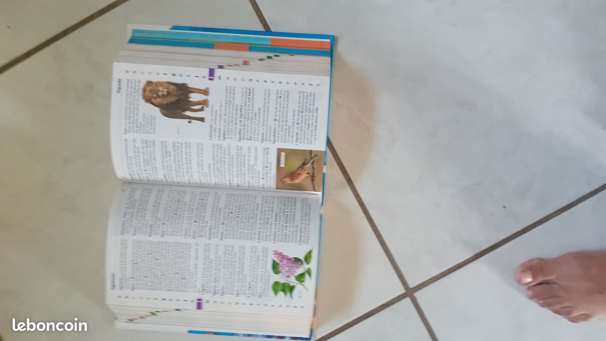 Dictionnaire ecolier (image 3)