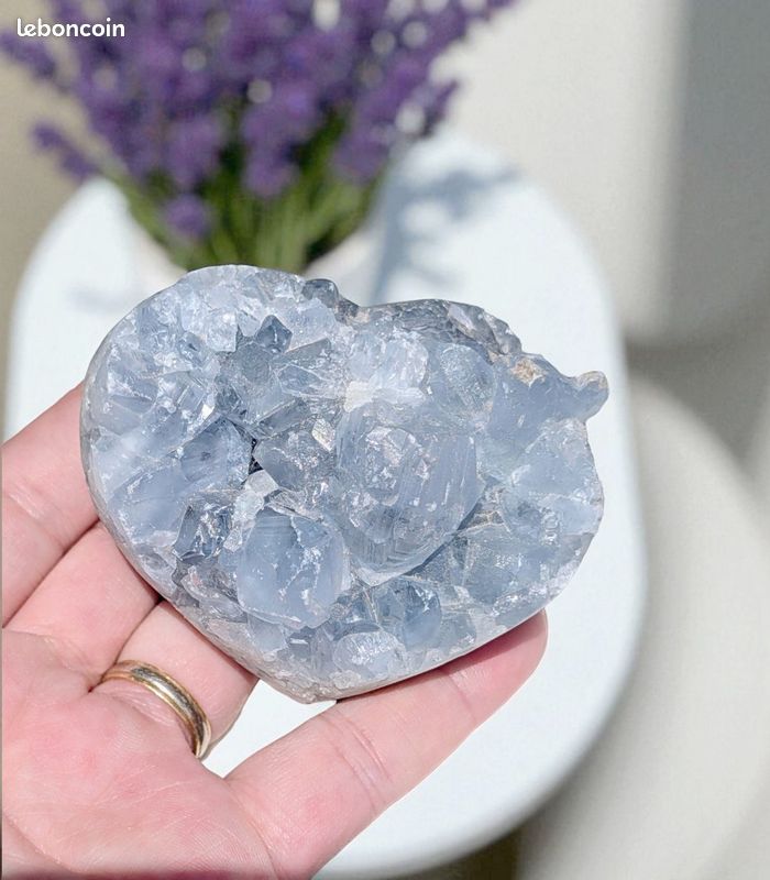 790g, pierre Agate brute polie - Géode de pierre naturelle (image 15)