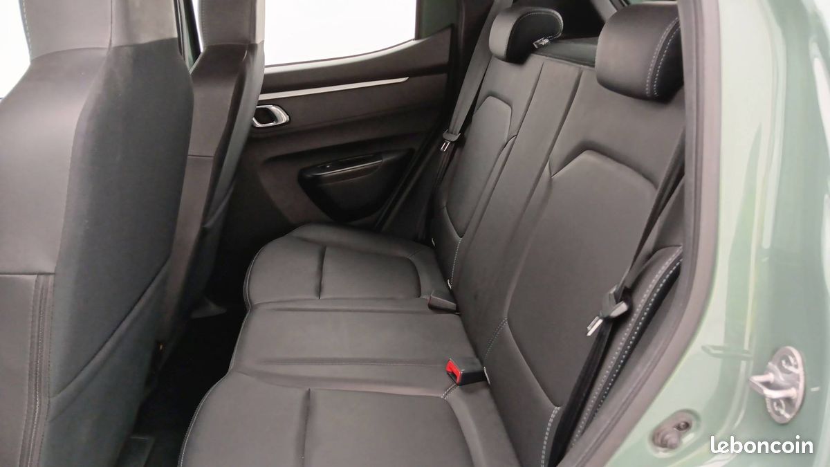 Dacia spring expression (image 13)