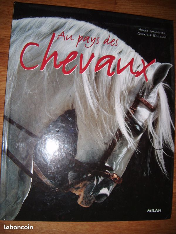 Choisir son chien (image 7)