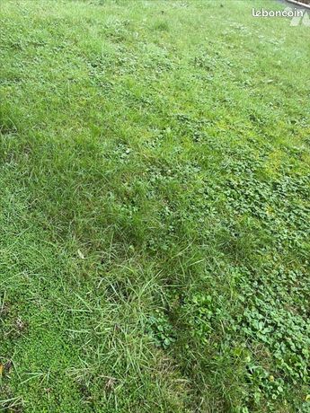 Terrain 423 m² ST MALO