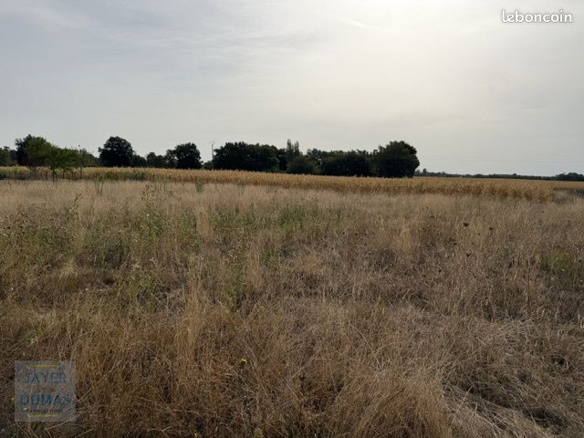Terrain 1176 m² · à Saint-Christophe-en-Bresse · 1 176 m² · 29 500 €