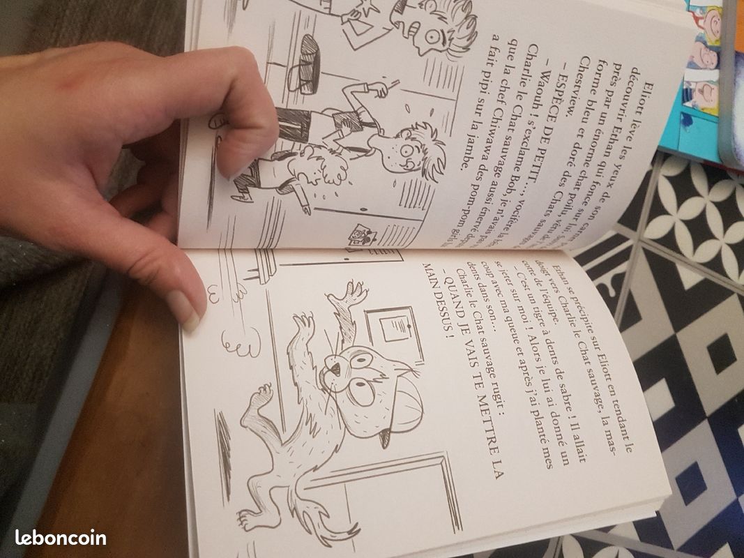 Livre enfants (image 3)