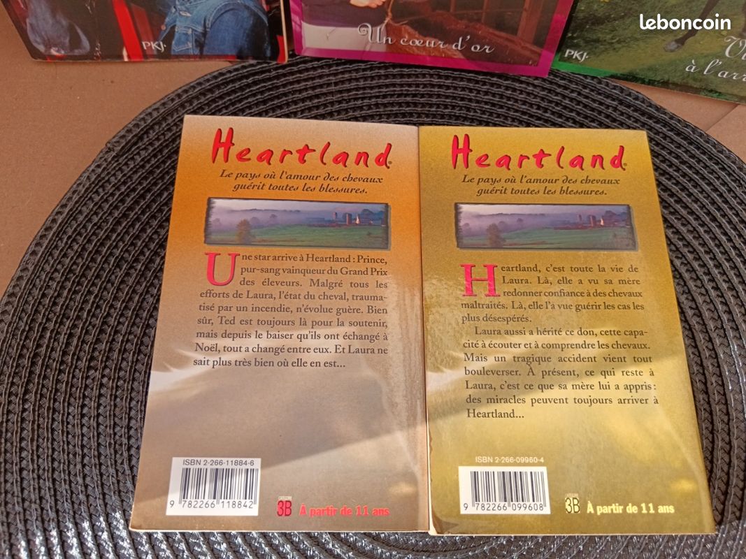 Vend 4 livres l'auteur Lauren Brooke pour les lecteurs passionnés d'équitation 🏇 (image 9)