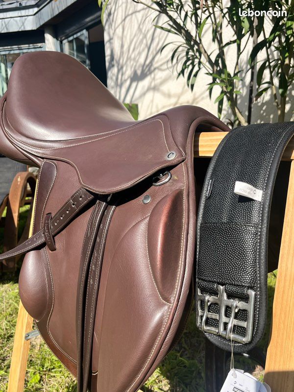 Zeki Shoggy Flotteur de chlore solaire pour piscine avec lumière changeante et changement de