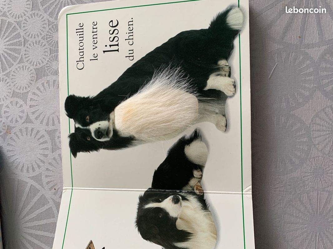 Lot de 3 livres BB 12/24 mois (image 4)