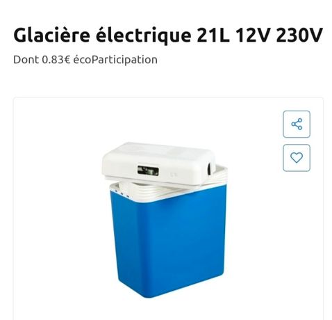 Glacière électrique 21L 12V 230V : la glacière électrique à Prix Carrefour