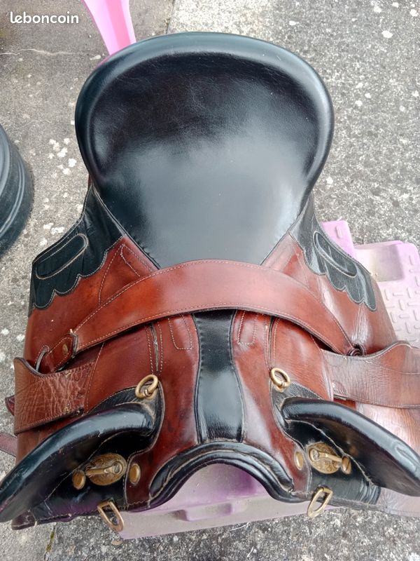 Selle Australienne FREENY En Cuir Marron, Taille 17.5, Sans Corne - Neuve