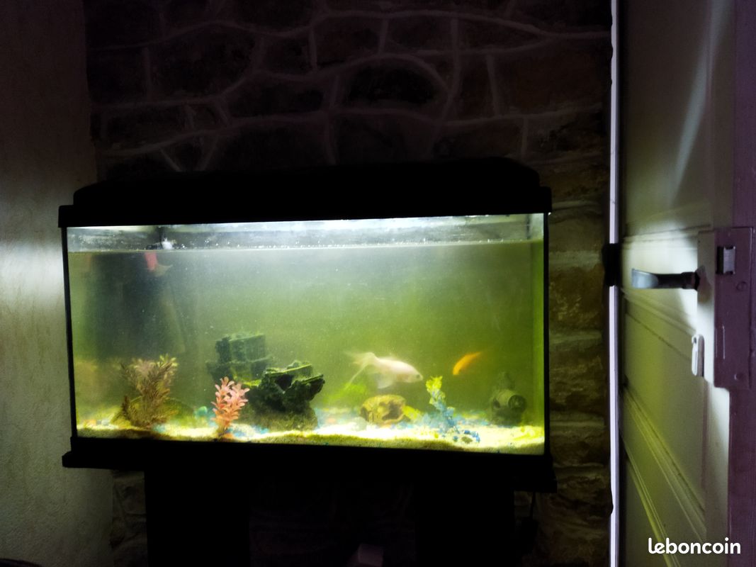 Aquarium (image 2)