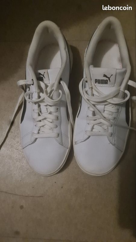 Puma (image 1)