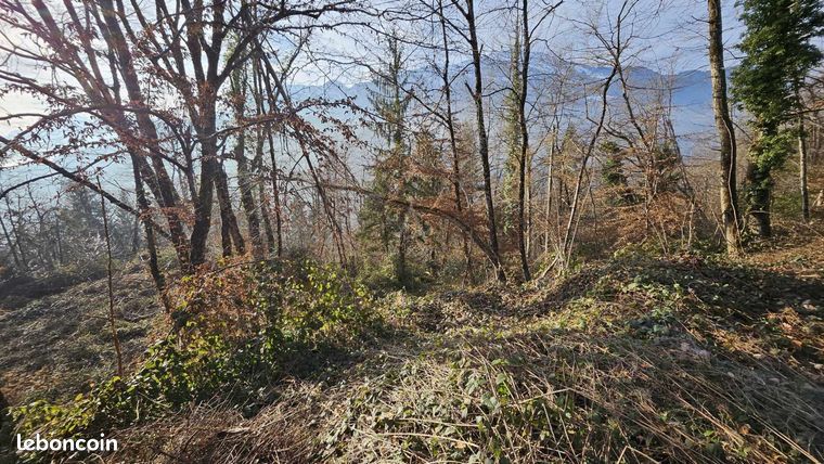 Terrain 38100 m² CESARCHES