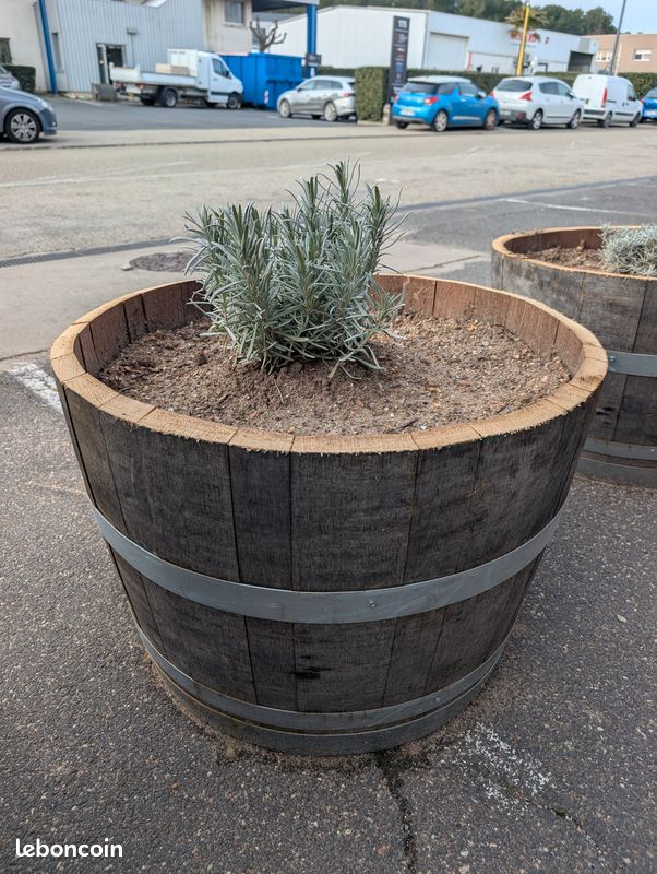 Jardinières & Pots en chêne massif (anciennes barriques de vin/whisky) (image 3)