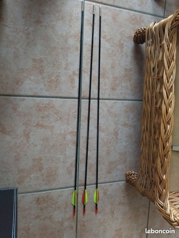 ARC GEOLOGIC GRANDE taille en bonne état vend avec ses 12 flèches EUR