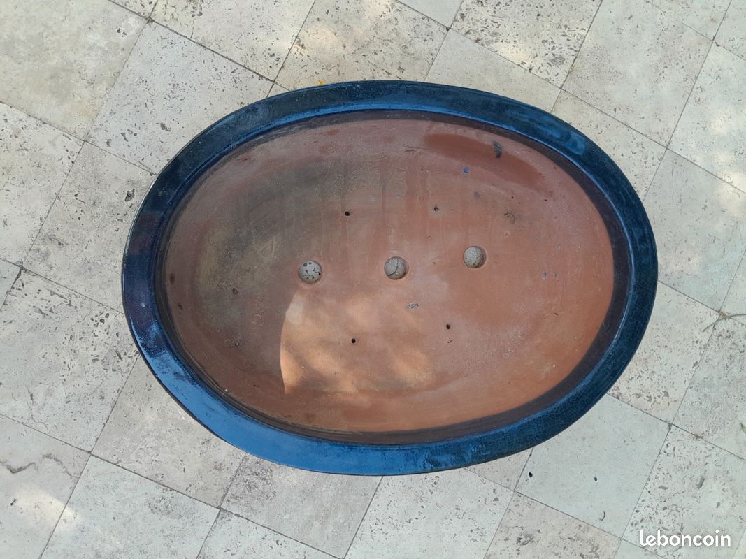 Grand vase pour bonzaï (image 2)