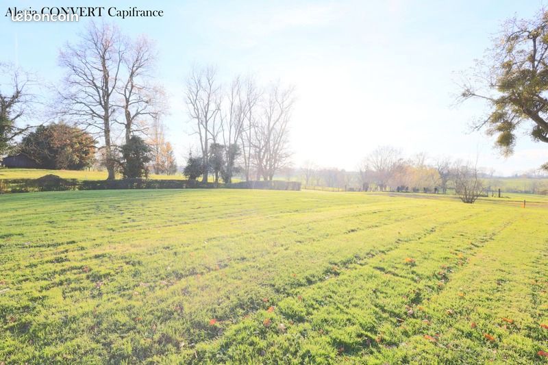 Terrain 1 208 m² Saint Jean Sur Reyssouze · à Saint-Jean-sur-Reyssouze · 54 000 €
