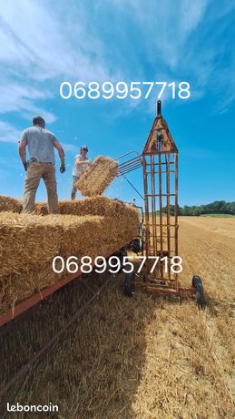 395125_5