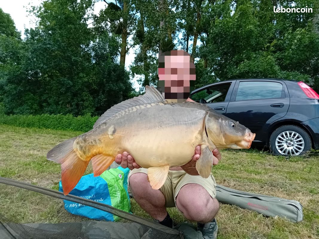Etang de pêche (image 1)