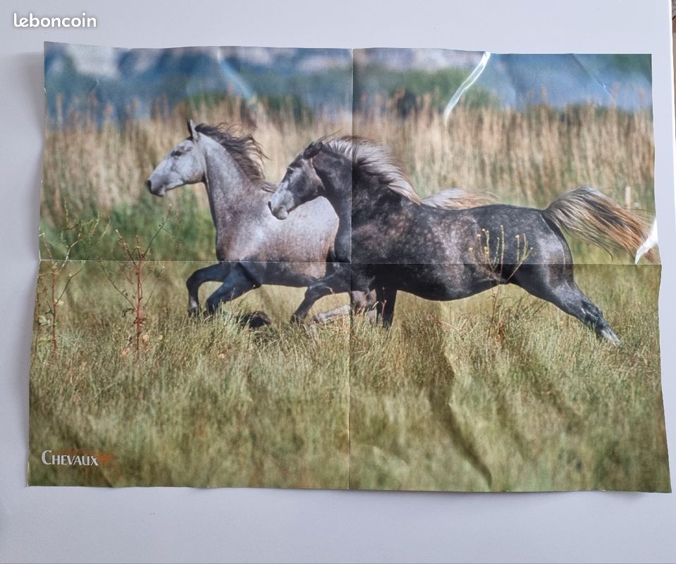Figurine cheval Lipizzan (image 5)
