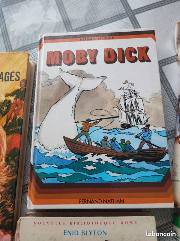 Lot de livres (11) enfants et adolescents (image 3)