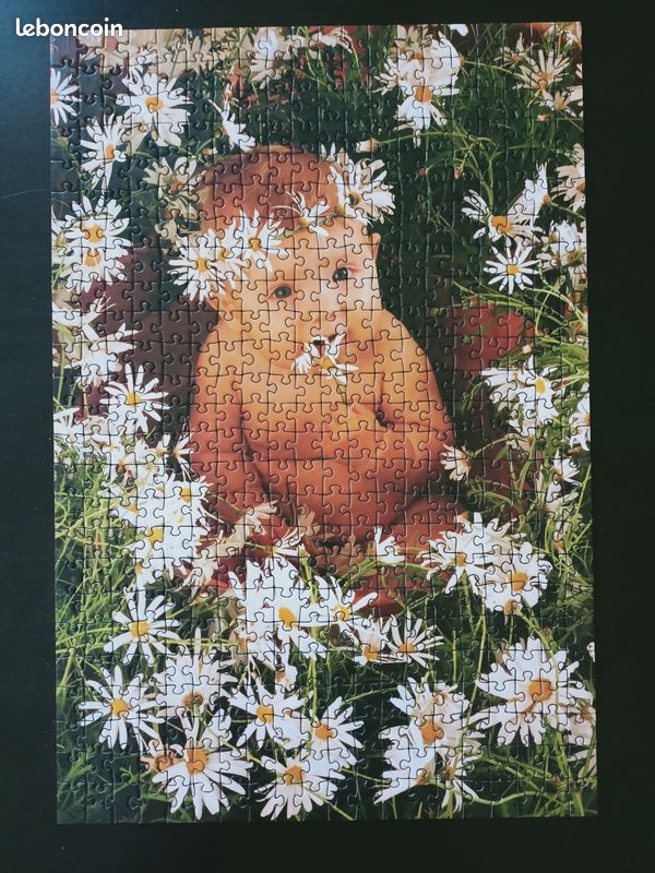 Puzzle Anne Geddes (image 1)