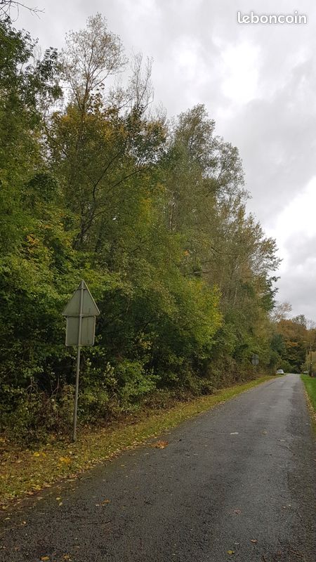 Vends parcelles boisées · à Montjavoult · 15 000 €