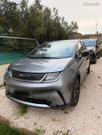 BYD Dolphin Surf 2024