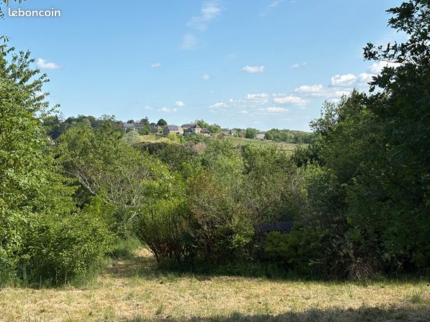 Terrain 10008 m² La dornac