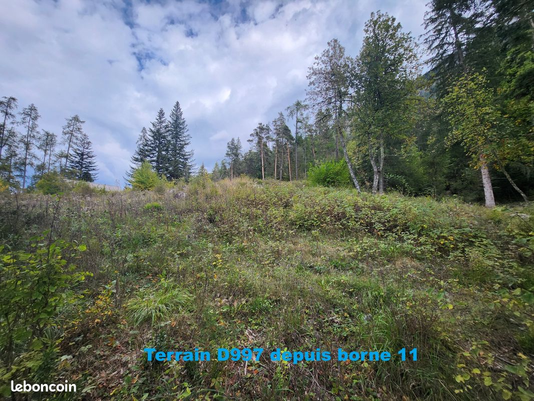Terrain 2007 m² Colmars (image 7)