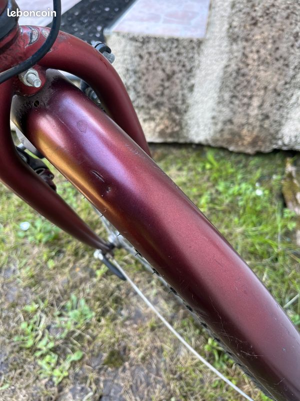 Vélo tout chemin femme (image 3)